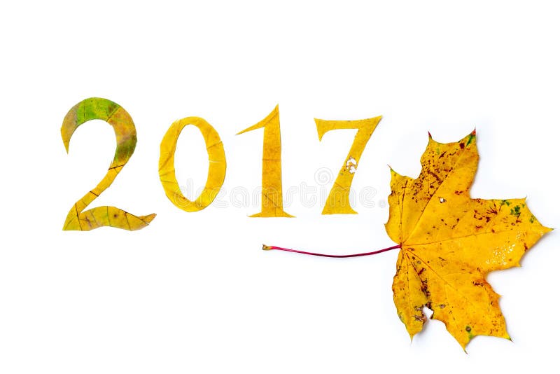 2017 cifre hanno scolpito dalle foglie di acero su un fondo bianco royalty illustrazione gratis 2017 cifre hanno scolpito dalle foglie di acero su un fondo bianco royalty illustrazione gratis