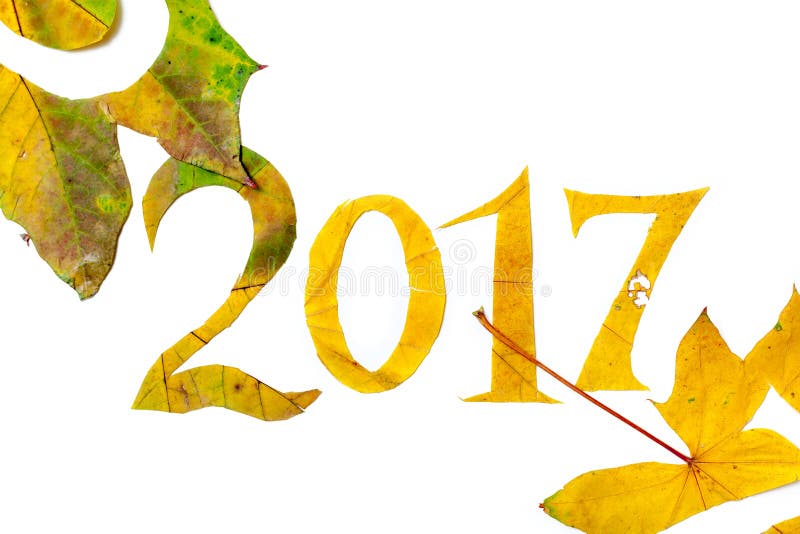 2017 cifre hanno scolpito dalle foglie di acero su un fondo bianco illustrazione di stock 2017 cifre hanno scolpito dalle foglie di acero su un fondo bianco illustrazione di stock