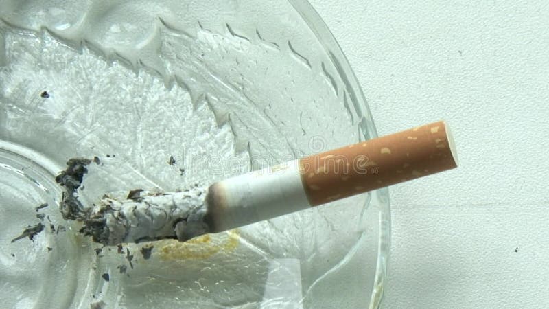 Cigarette sticks in an ashtray in 4k slo, Stock Video