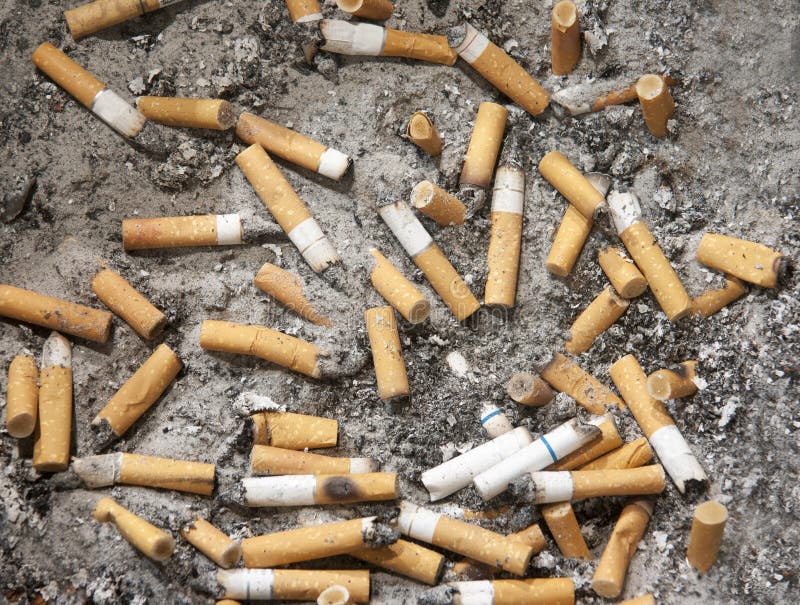 Cigarette butts stock photo. Image of addiction, smoke - 16259396