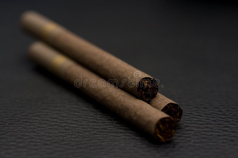 cigarrer lilla tre arkivbilder cigarrer lilla tre arkivbilder