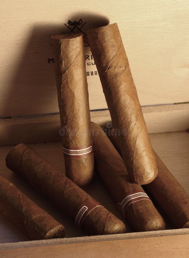 Big quality brown cuban cigars in box. Big quality brown cuban cigars in box