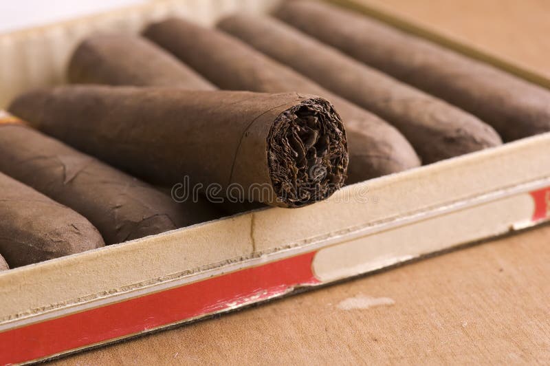 Close-up of Cuban cigars , detail of tobacco is visible. Close-up of Cuban cigars , detail of tobacco is visible.