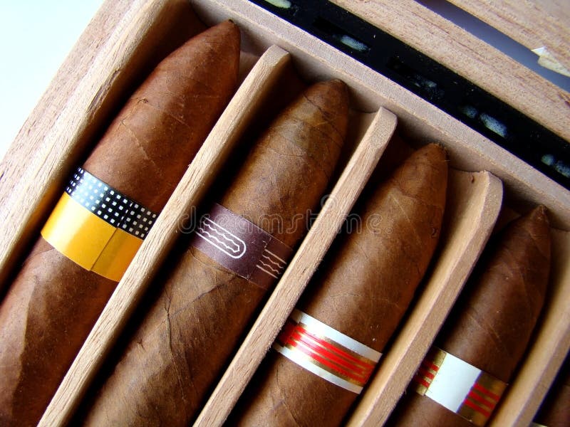 The Cuban brown cigars in a box. The Cuban brown cigars in a box