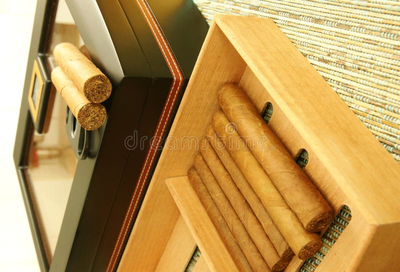 Cigars and humidor stock photo. Image of cigars, stylish 18416886