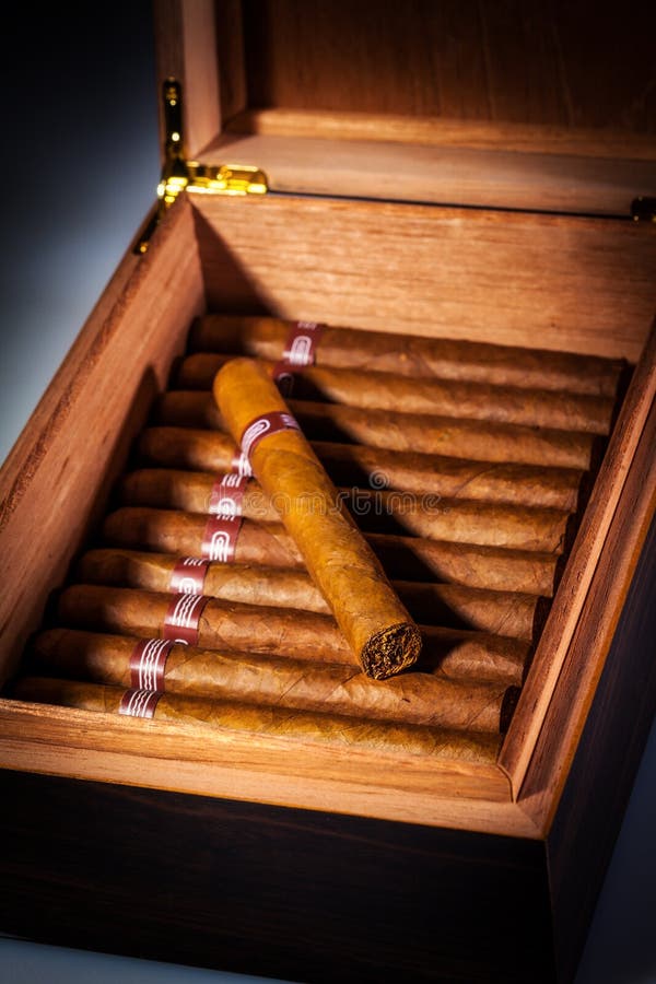 Cigars in humidor stock image. Image of healthcare, product 26526841
