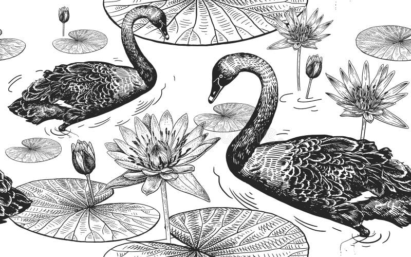 Cigni e ninfea Reticolo senza giunte royalty illustrazione gratis Cigni e ninfea Reticolo senza giunte royalty illustrazione gratis