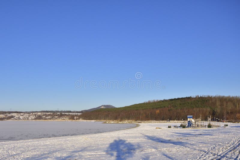 Cigno muto nell'inverno fotografie stock