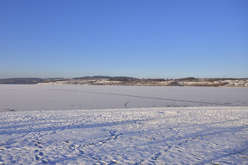 Cigno muto nell'inverno fotografie stock libere da diritti