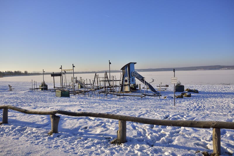 Cigno muto nell'inverno fotografia stock