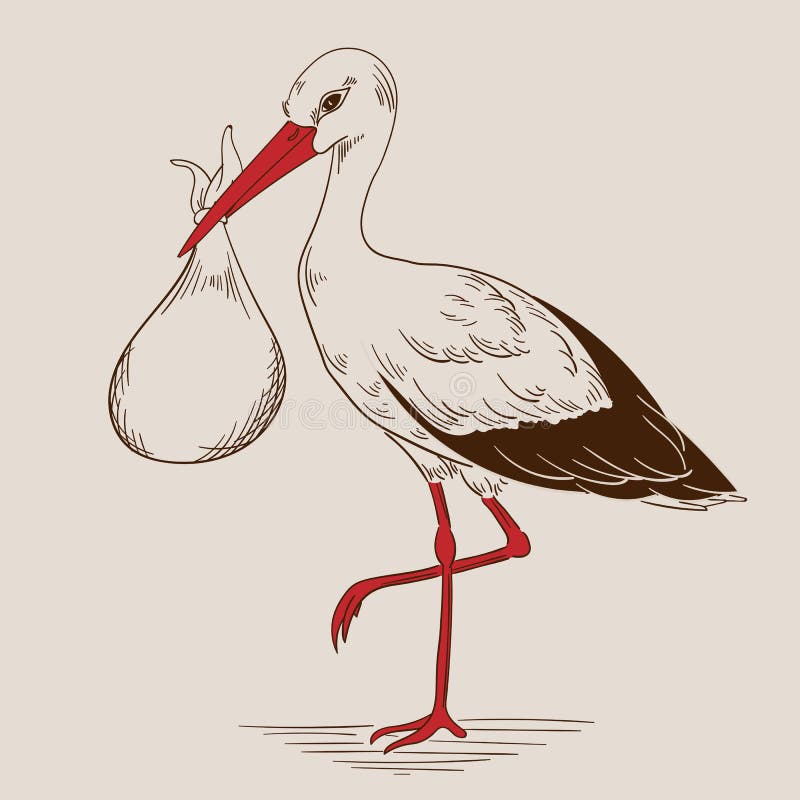 Cigogne Tenant Un Sac Avec Un Bebe Nouveau Ne Dans Le Vecteur Eps8 Illustration De Vecteur Illustration Du Oiseau Brun Cigogne Tenant Un Sac Avec Un Bebe Nouveau Ne Dans Le Vecteur Eps8 Illustration De Vecteur Illustration Du Oiseau Brun