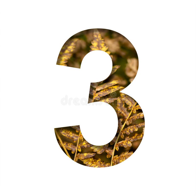 Digit three, 3 is cut from white paper with autumn fern leaves background, late autumn font or alphabet. Collection of decorative fonts. Digit three, 3 is cut from white paper with autumn fern leaves background, late autumn font or alphabet. Collection of decorative fonts.