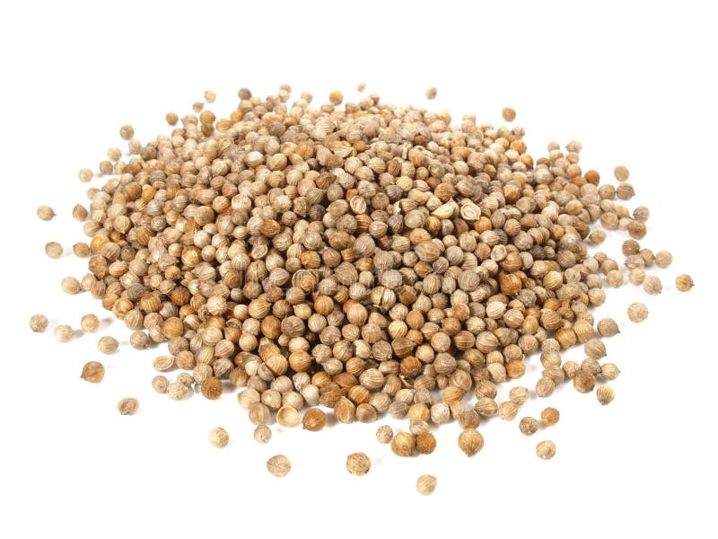 Cilantro Seeds with Leaves on White Background Isolated Stock Photo