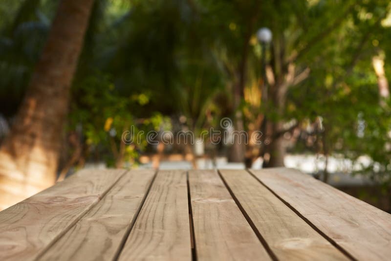 Cima vuota della tavola di legno naturale per la disposizione del prodotto e dell'esposizione nell'ombra aperta Alberi del cocco fotografia stock Cima vuota della tavola di legno naturale per la disposizione del prodotto e dell'esposizione nell'ombra aperta Alberi del cocco fotografia stock