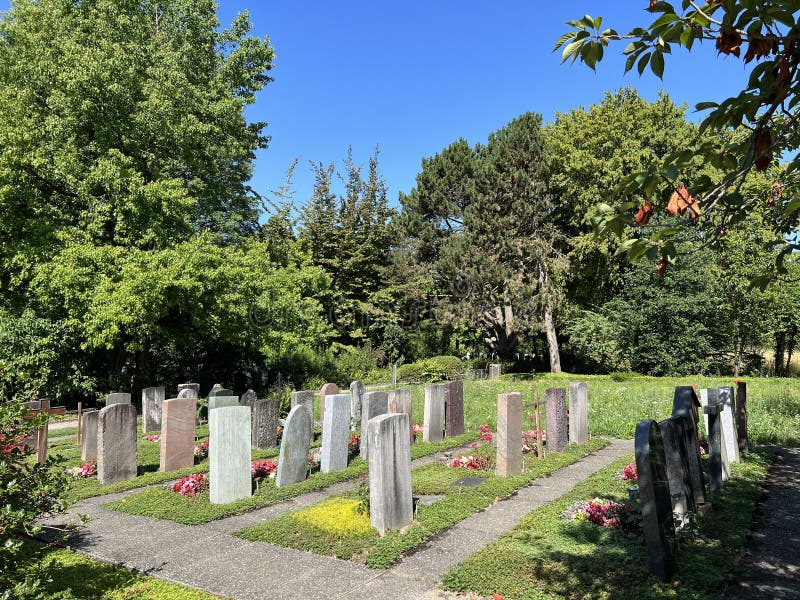 Cimitero di honggerberg o cimitero di hoenggerberg friedhof honggerberg der friedhof hoenggerberg fotografie stock libere da diritti