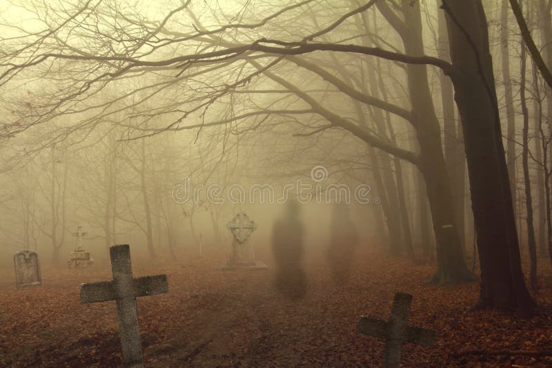 Cimitero spettrale in foresta fotografia stock libera da diritti Cimitero spettrale in foresta fotografia stock libera da diritti