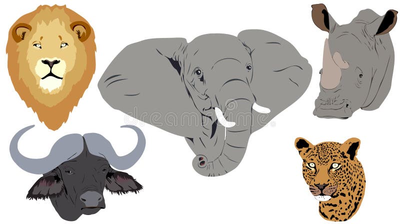 Cabeças dos Cinco Grandes Africanos ilustração stock