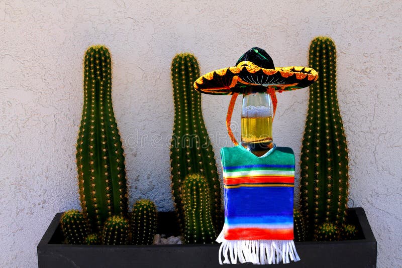 Cinco de Mayo ölflaska och kaktus arkivfoto Cinco de Mayo ölflaska och kaktus arkivfoto