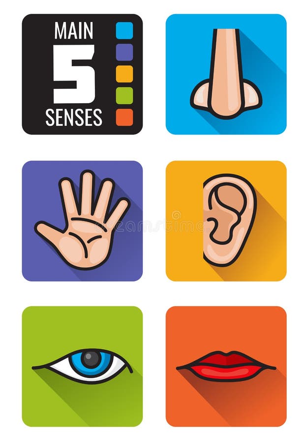 Cinco ícones Humanos Dos Sentidos Ajustados Nariz, Olho, Mão