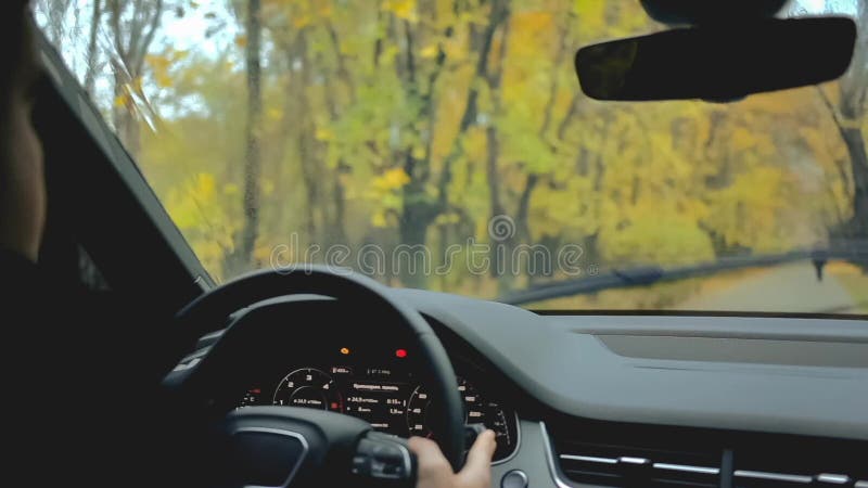 Cinemagraph Vídeo del lazo vivo Vista del parque del parabrisas dentro de una lluvia del rato del coche Descensos de la caída del almacen de metraje de vídeo