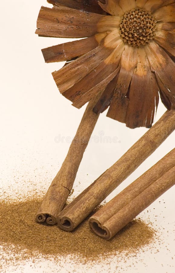 Cinnamon With Brown Flower Picture. Image 4269098