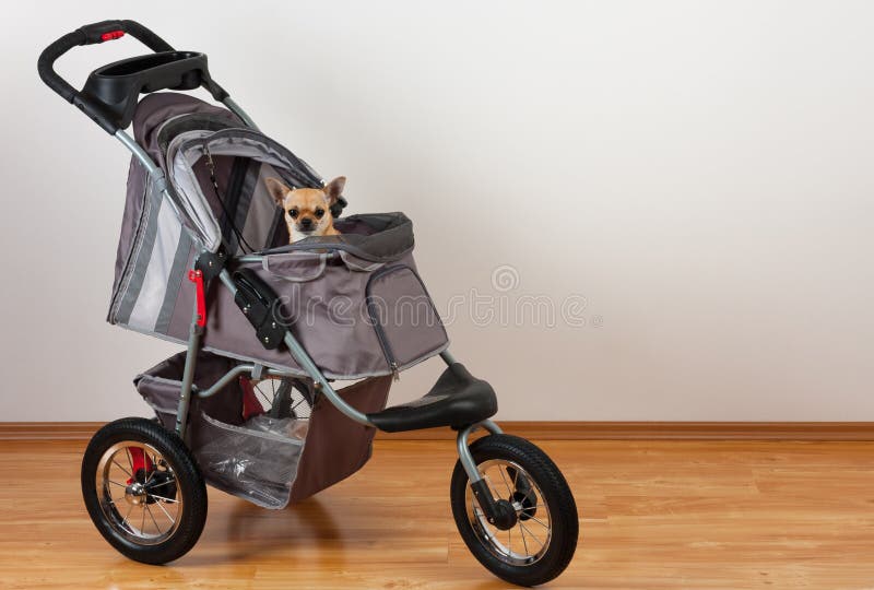 cheap pet stroller
