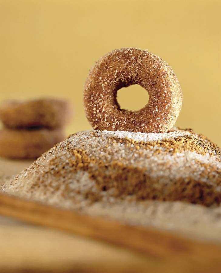 Cinnamon Donut stock photo. Image of pastry, bake, snack 10748074