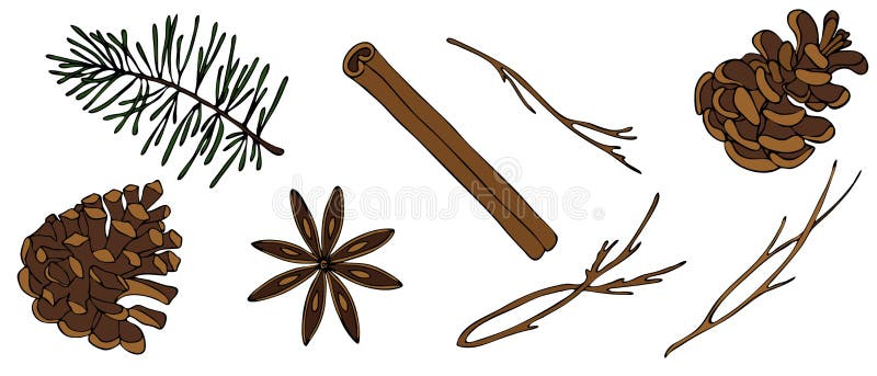 Cinnamon, pine cone, star anise, twig, tree, vector set of elements in doodle style vector illustration