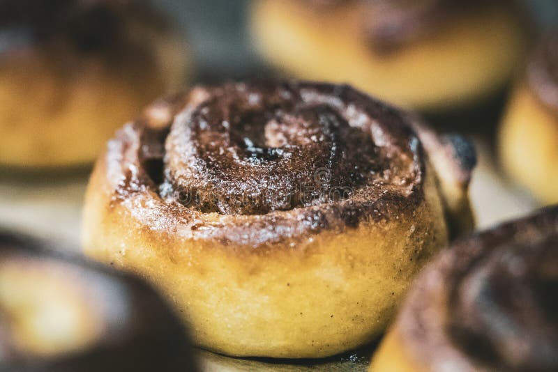 Cinnamon Roll Bakery Highlight Stock Photo Image of browning