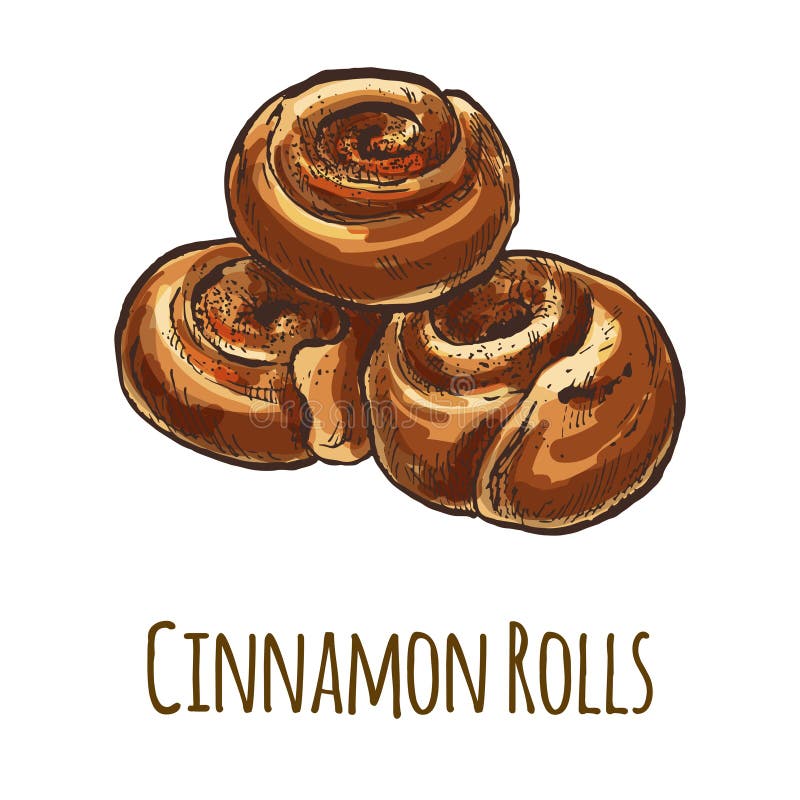 Cinnamon Rolls, full color. 