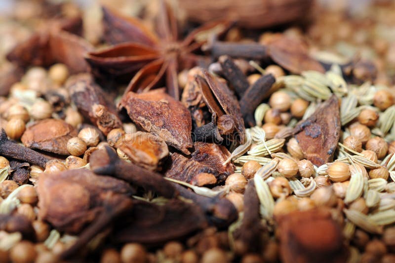 Cinnamon and Star Anise stock photo. Image of plantae 27853926