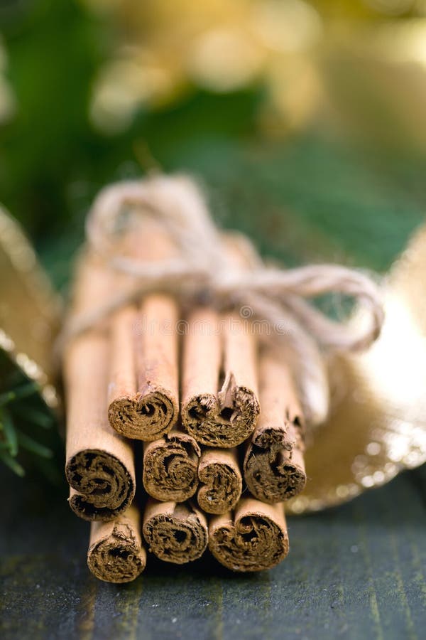 Cinnamon sticks stock photo. Image of holly, book, advent 27227026