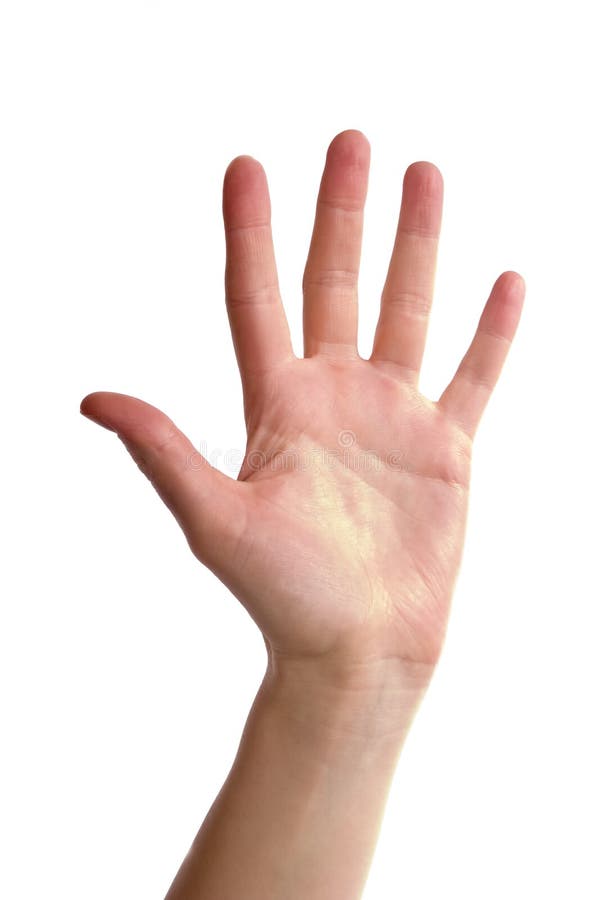 Cinq doigts