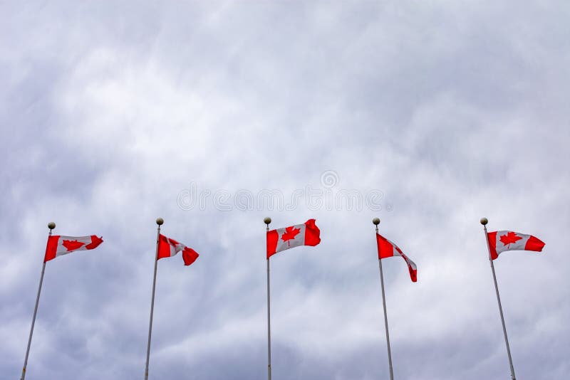 Cinq drapeaux canadiens sur Polonais s'agitant dans le vent un jour nuageux images libres de droits Cinq drapeaux canadiens sur Polonais s'agitant dans le vent un jour nuageux images libres de droits