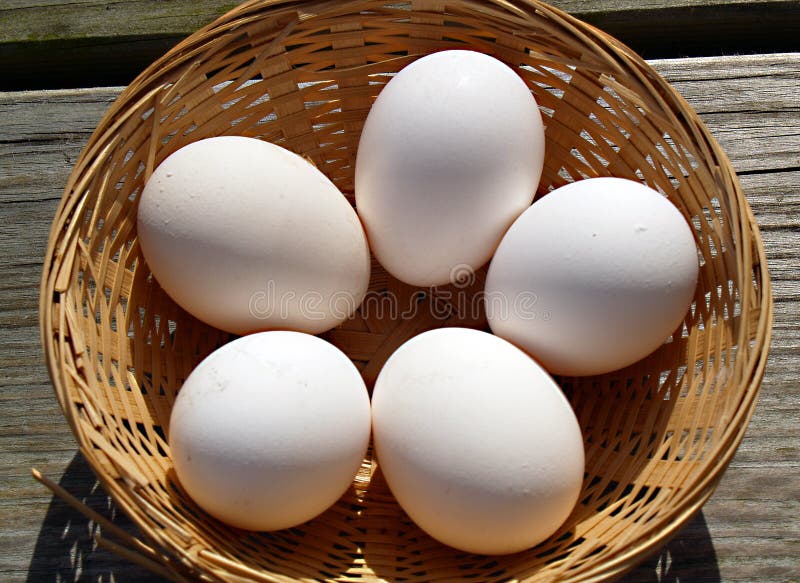 Cinq oeufs frais de poulet dans un panier en osier