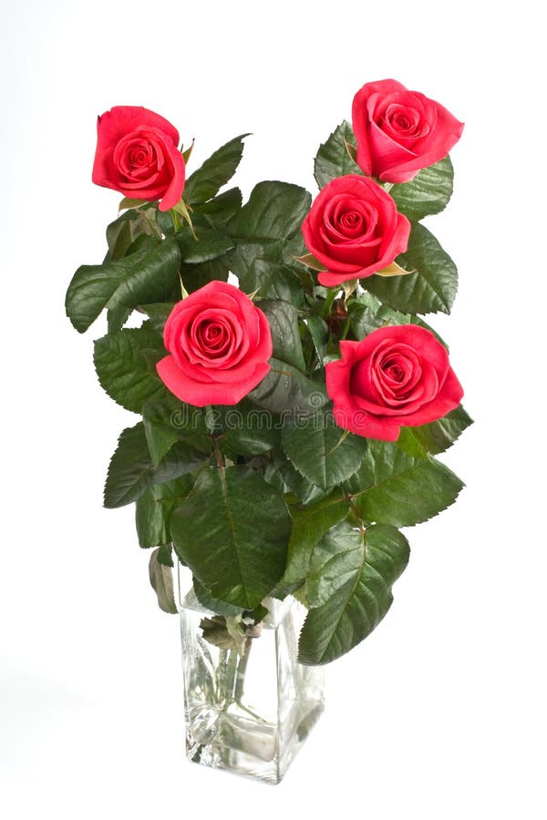 Cinq roses image stock. Image du cinq, cadeau, mariage - 4875213