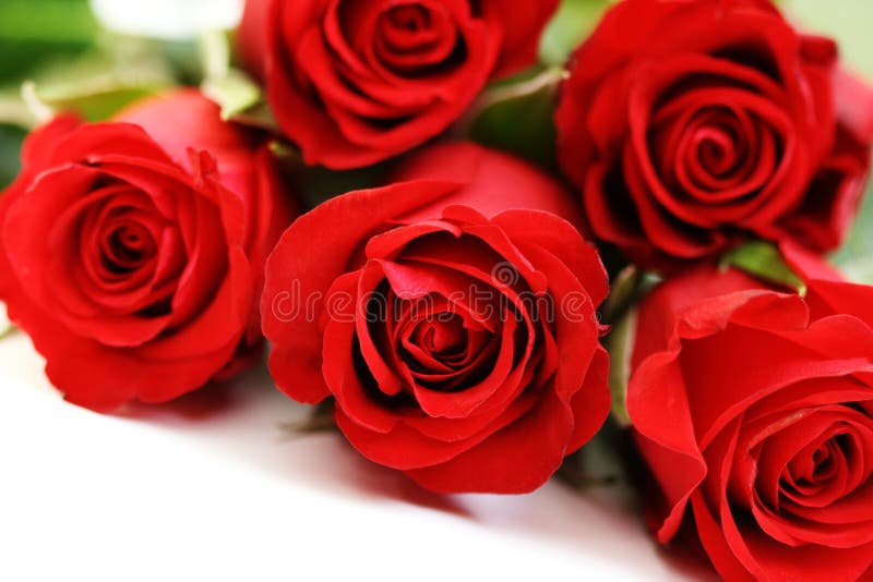 Cinq roses photo stock. Image du rouge, amour, beau, valentin - 7913960