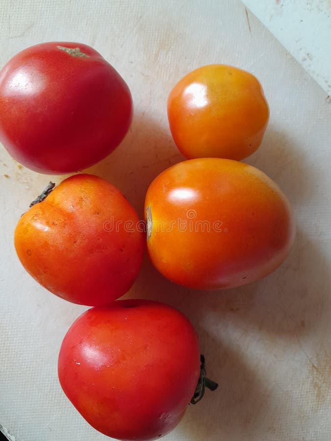 Cinq tomates fraîches de différentes tailles