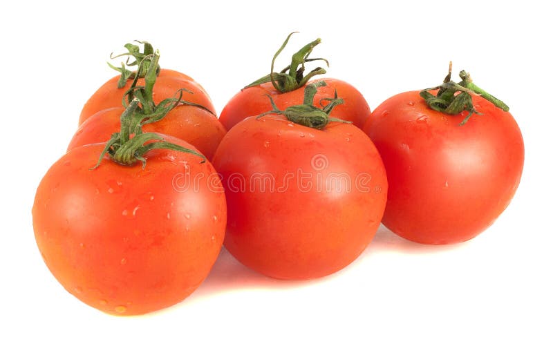 Cinq tomates fraîches sur un fond blanc