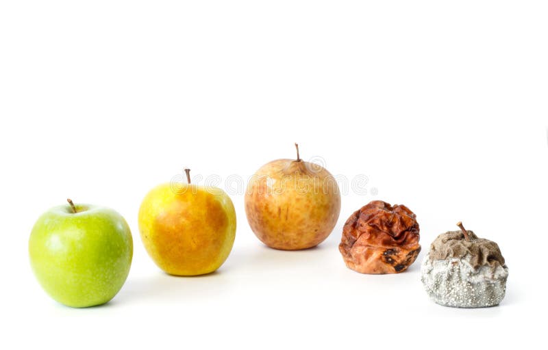 Cinque mele nelle fasi differenti di decadimento