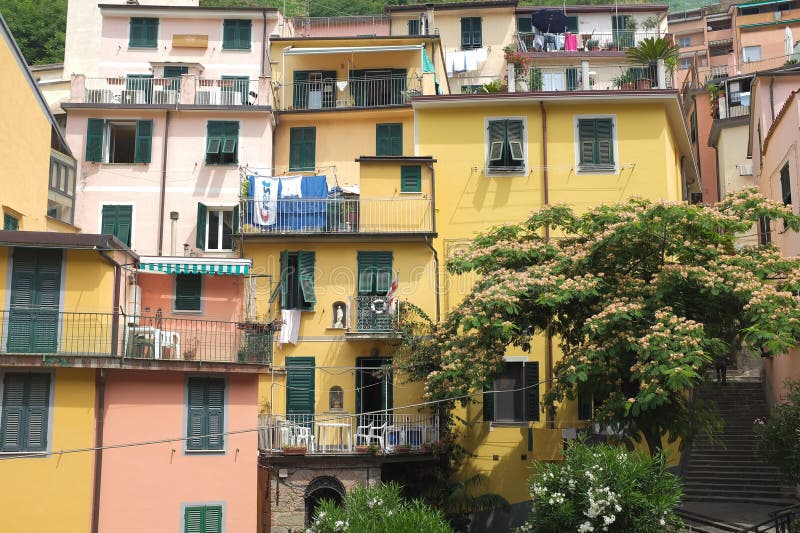Cinque terre italia vista di case colorate a riomaggiore una città costiera sulla riviera italiana. vacanze estive immagine stock libera da diritti