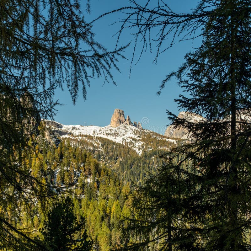 Cinque vridri inramad med höstblad på kroda di lago trail royaltyfria foton