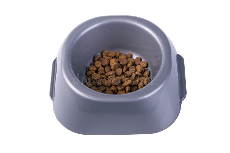 Ciotola con l'alimento di gatto asciutto fotografia stock Ciotola con l'alimento di gatto asciutto fotografia stock