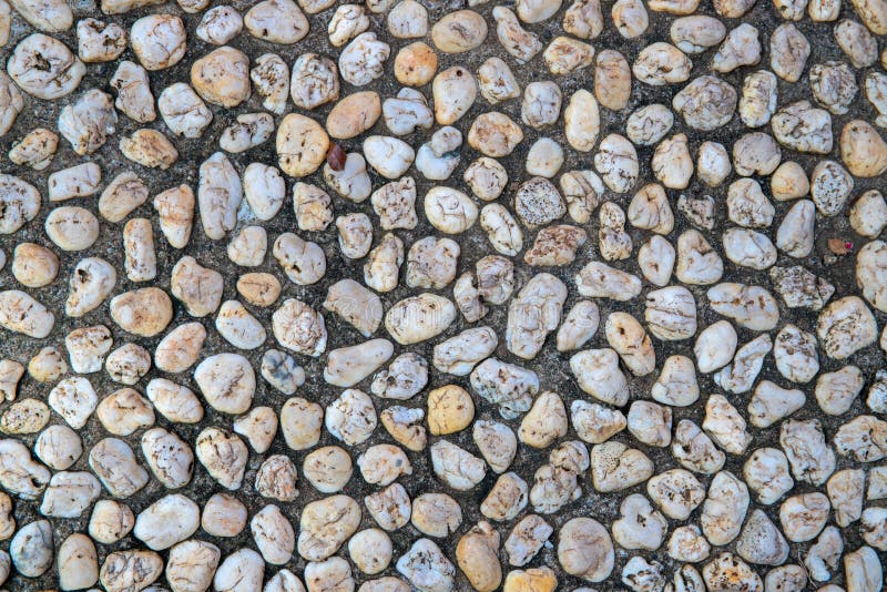 Ciottolo bianco in percorso concreto Fondo della pietra di vista superiore Struttura della foto del ciottolo della spiaggia Super immagine stock libera da diritti Ciottolo bianco in percorso concreto Fondo della pietra di vista superiore Struttura della foto del ciottolo della spiaggia Super immagine stock libera da diritti
