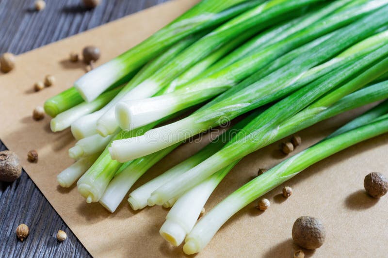 Cipolla verde e primo piano freschi delle spezie sulla tavola di legno immagine stock libera da diritti Cipolla verde e primo piano freschi delle spezie sulla tavola di legno immagine stock libera da diritti