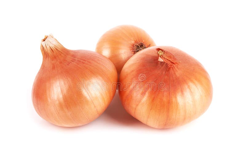 Cipolle fotografie stock libere da diritti