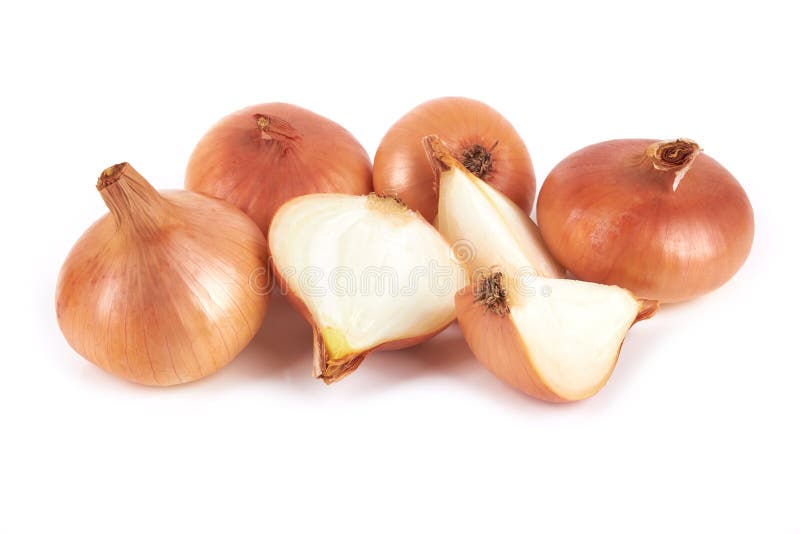 Cipolle fotografia stock