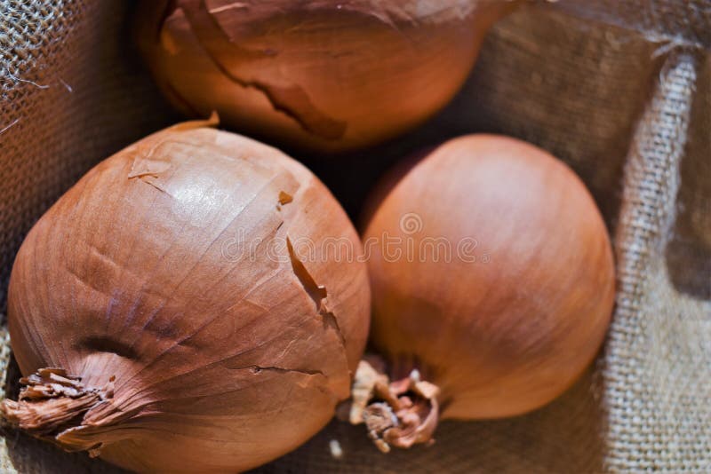 3 cipolle bellissime su un tessuto di iuta. 3 cipolle su un sacco a sacco o su un tessuto di iuta
