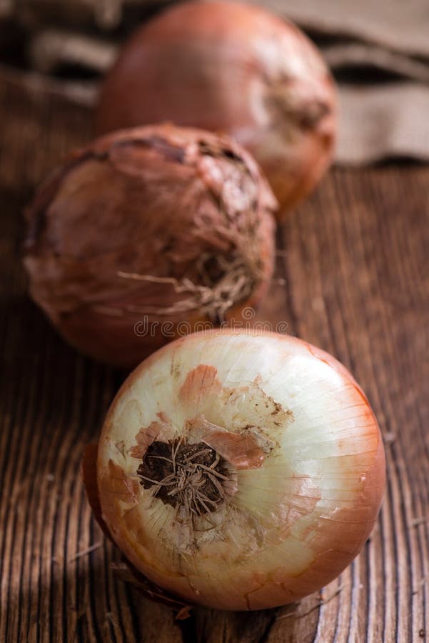 Cipolle fresche (bianche) fotografia stock