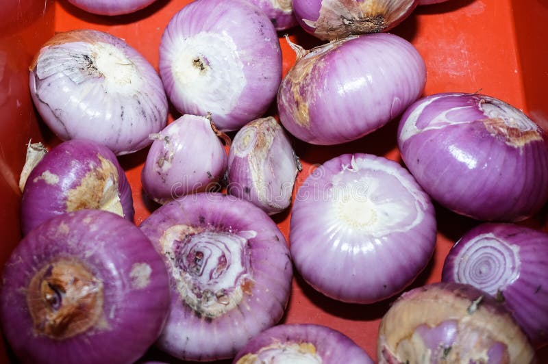 Nocciole Tostate E Pelate 100% Naturali Sgusciate Intere Crude Grandi - Foto 13